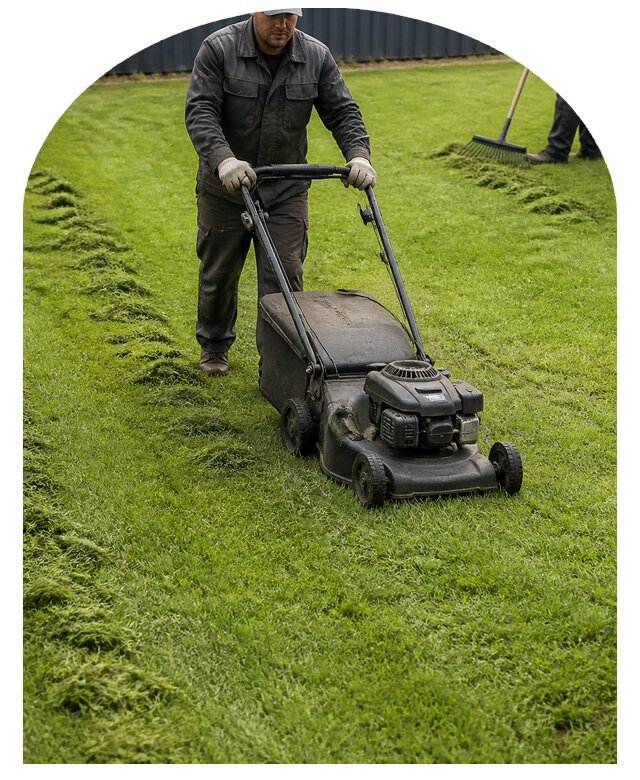 Профессиональный покос газона и травы на участке в Елизове